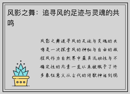风影之舞：追寻风的足迹与灵魂的共鸣
